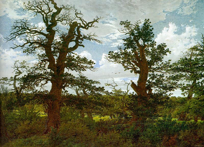 Caspar David Friedrich Landscape with Oak Trees and a Hunter Germany oil painting art